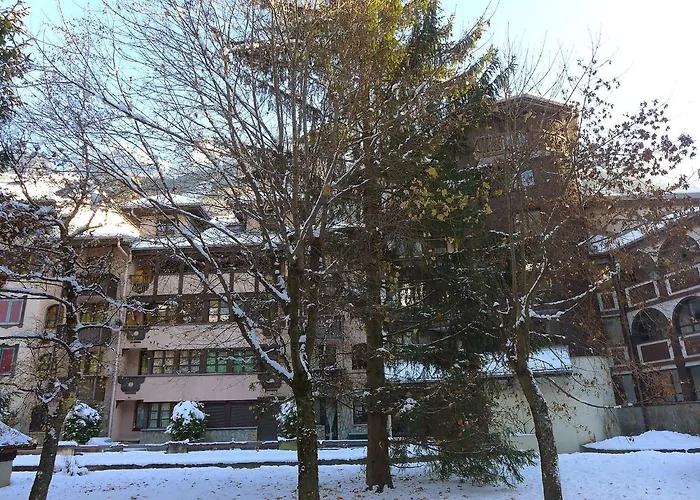 Jonquilles-15 By Interhome