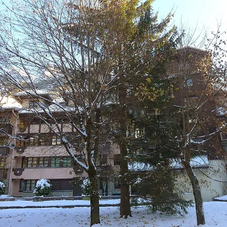 Jonquilles-15 By Interhome