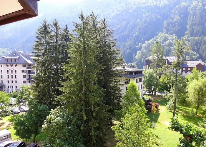 Jonquilles-15 By Interhome